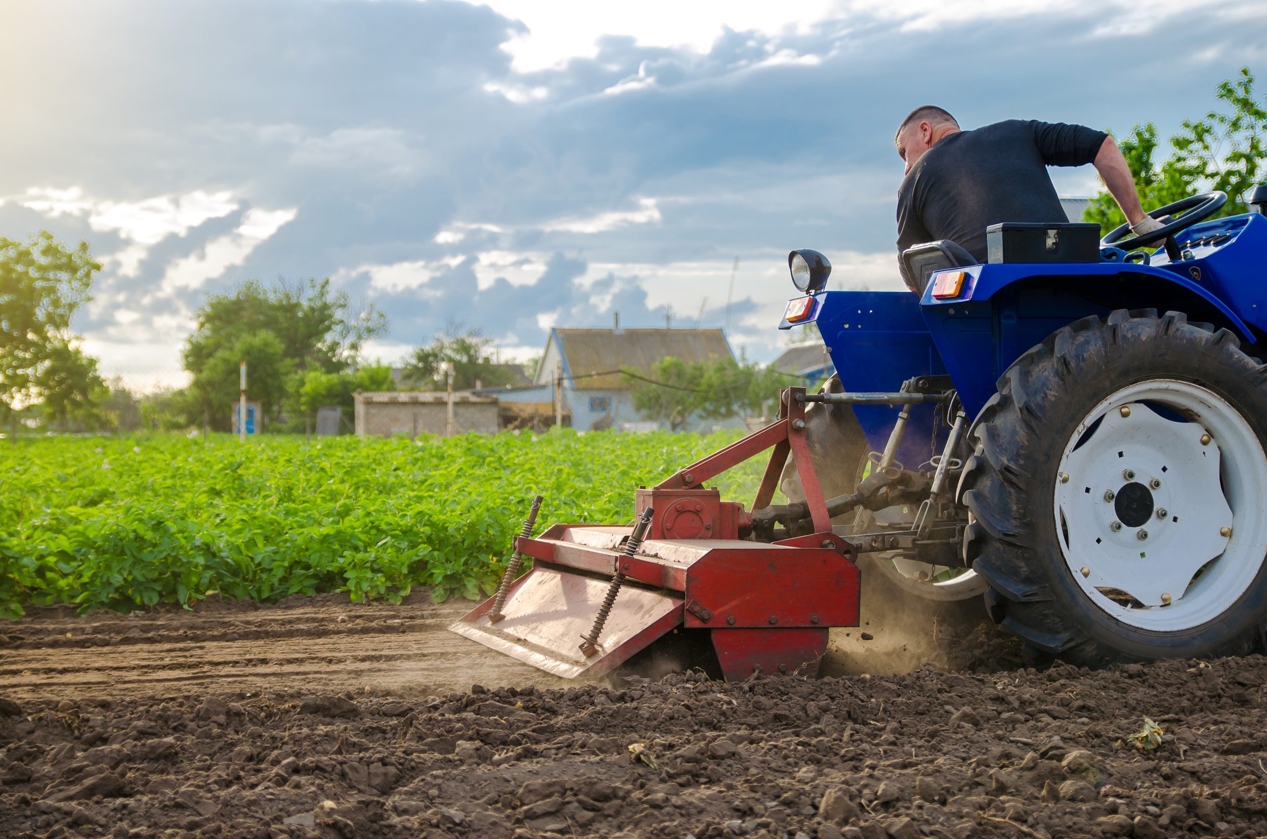 Landscaping Services in Cornwall